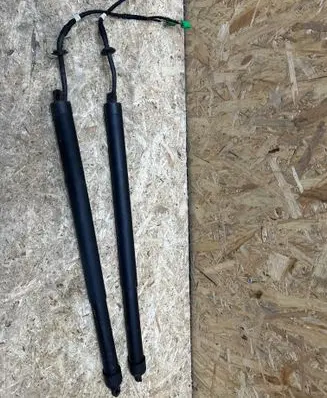 Tailgate strut
