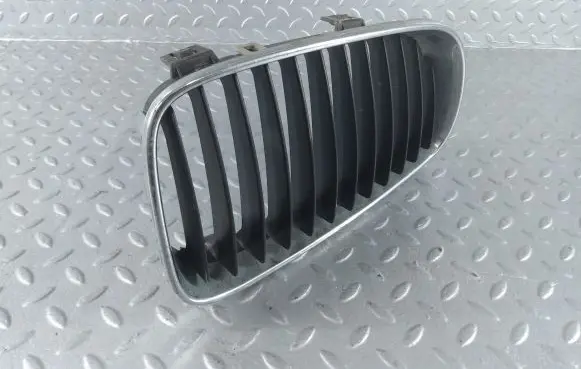 BMW 1 E81 E87 Front grill