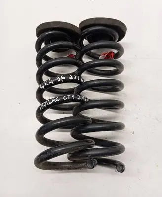 Cadillac CTS Rear coil spring 25798541