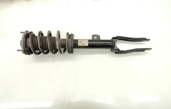 Alfa Romeo Giulia Front shock absorber with coil spring 50546463