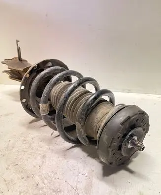 Opel Insignia A Front shock absorber/damper 13245976