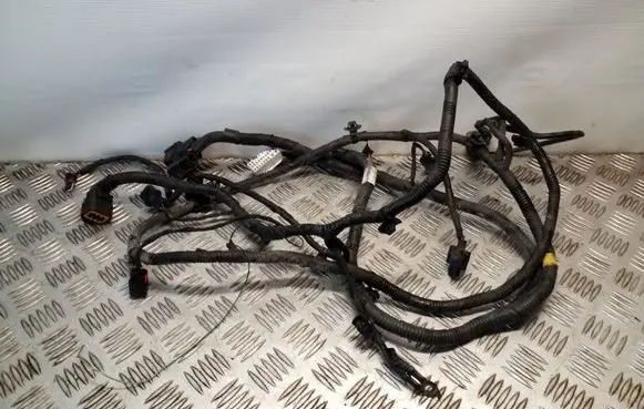 Other wiring loom