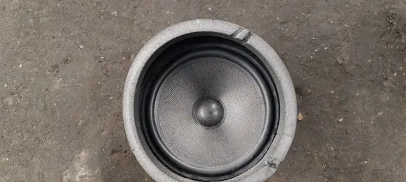 BMW X5 E53 Rear door speaker 65138379094