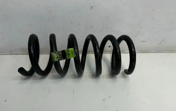 Ford Mustang VI Rear coil spring FR3C5560KC