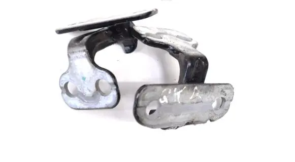 Rear door lower hinge