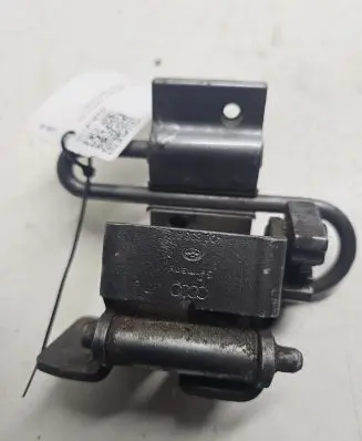 Rear door lower hinge