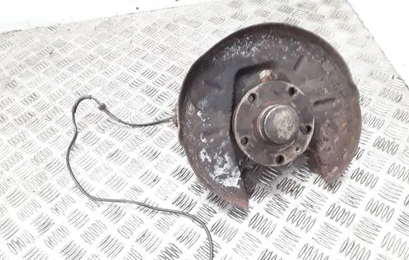 Rear wheel hub spindle/knuckle
