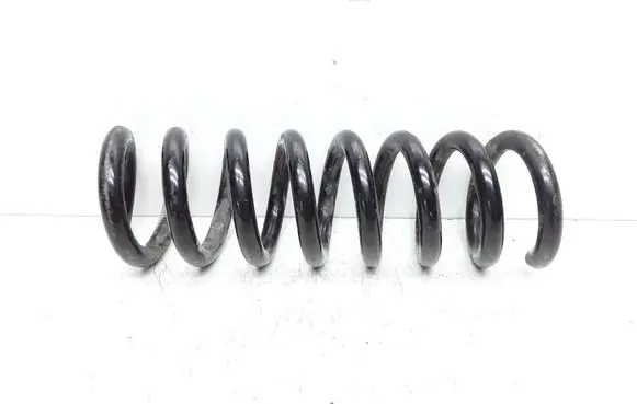 Rear coil spring