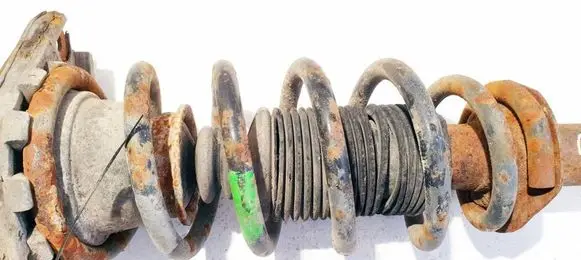 Rear coil spring
