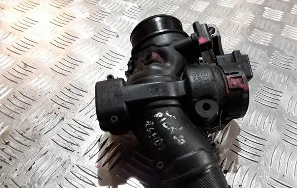 Citroen Xsara Picasso Electric throttle body valve 9660030480
