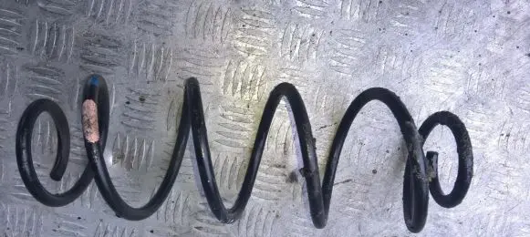 Citroen C2 Rear coil spring