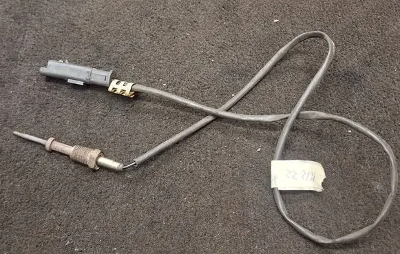 Land Rover Range Rover Sport L494 Exhaust gas temperature sensor FPLA12B591CB