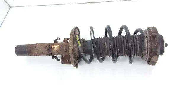 Skoda Roomster (5J) Front shock absorber with coil spring 6Q0413031BL