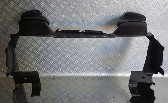 Mercedes-Benz SLK R171 Radiator trim A1715050030
