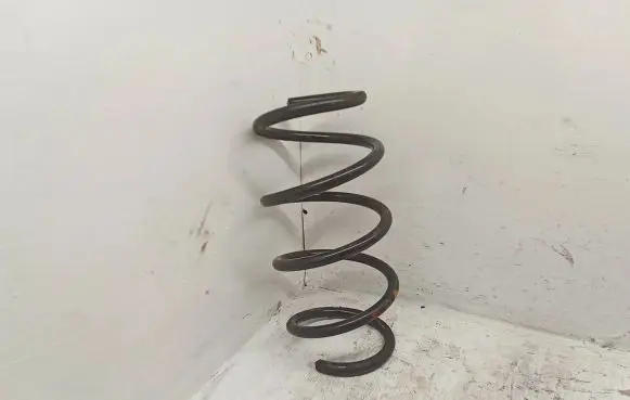 Renault Kangoo II Front coil spring