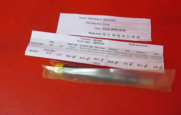 Renault Clio III Fuel injector 166001137R H8200421897 28232251