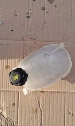 Renault Arkana Coolant expansion tank/reservoir 217102572R