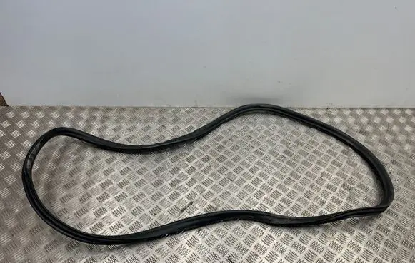BMW 5 G30 G31 G38 Front door rubber seal 7337000