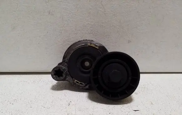 Volvo XC60 Generator/alternator belt tensioner
