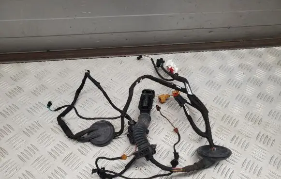 Audi Q5 SQ5 Front door wiring loom 80A971687Q