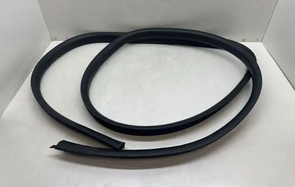 Renault Twingo II Front door rubber seal 