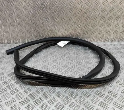 Ford Mustang Mach-E Rubber seal front coupe door LJ8BR20709AC LJ8BR20708AC