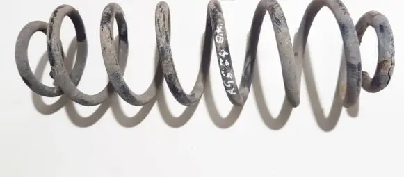 Skoda Roomster (5J) Rear coil spring