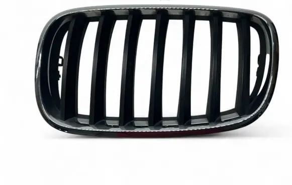 BMW X5 E70 Front grill 7157687