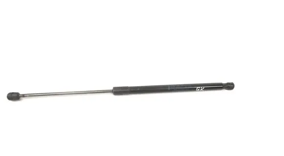 Tailgate/trunk strut/damper