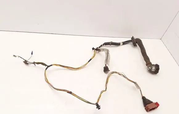 Front door wiring loom