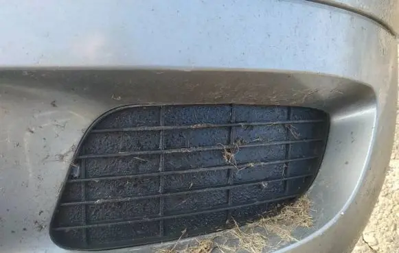 Mercedes-Benz A W169 Front bumper lower grill