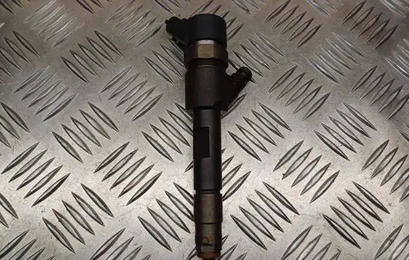 Suzuki Grand Vitara II Fuel injector 0445110230 8200389369