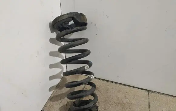 Land Rover Discovery Sport Rear coil spring FK725B749HD
