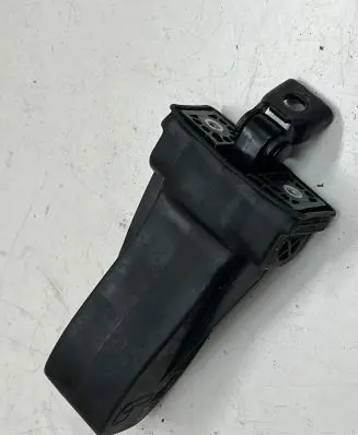 Porsche Cayenne (9Y0 9Y3) Rear door check strap stopper 760839267