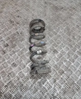Jaguar F-Pace Rear coil spring L8A25534CB