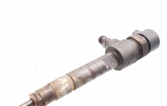 Fiat Punto (188) Fuel injector 0445110019