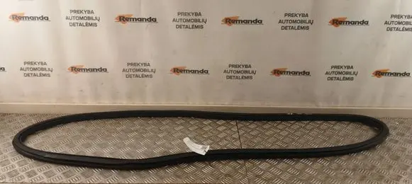 Citroen C4 X Rear door rubber seal (on body) 9833317280