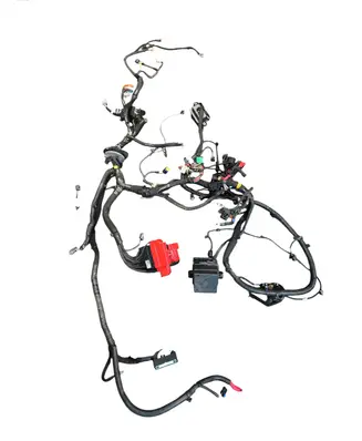 Renault Austral Engine installation wiring loom 