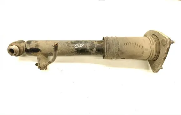 Rear shock absorber/damper