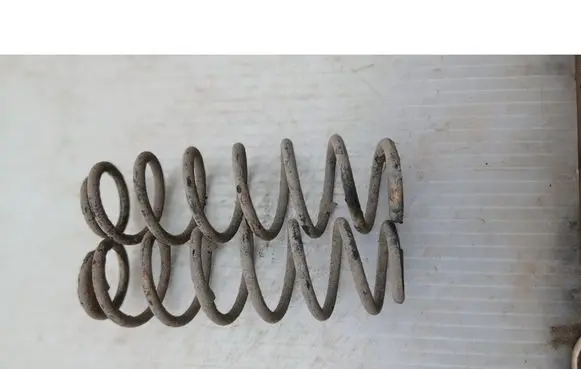 Rear coil spring