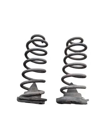 Rear coil spring