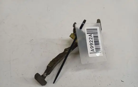 Renault Vel Satis Rear door check strap stopper