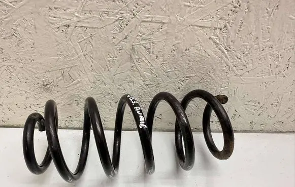 Rear coil spring