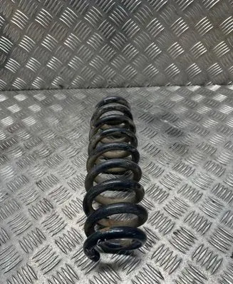 Rear coil spring