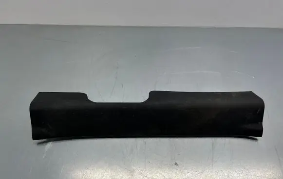 Hyundai Santa Fe Front sill trim cover 858812W000