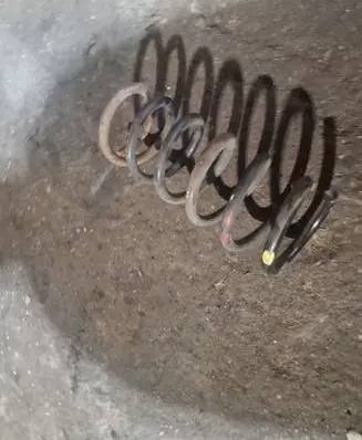 Rear coil spring
