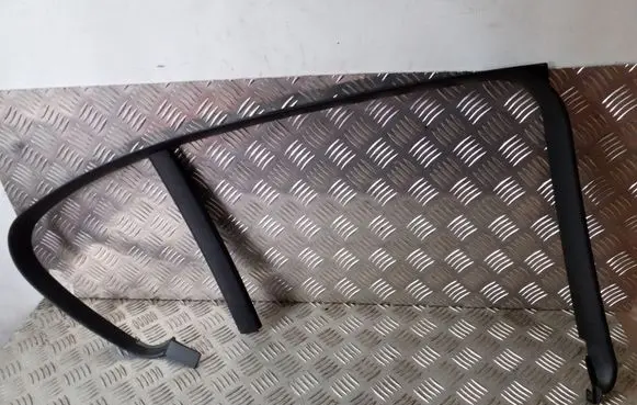 Other rear door trim element