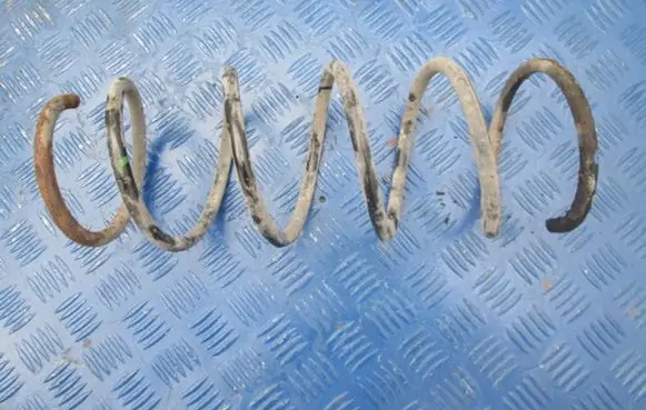 Renault Thalia I Front coil spring