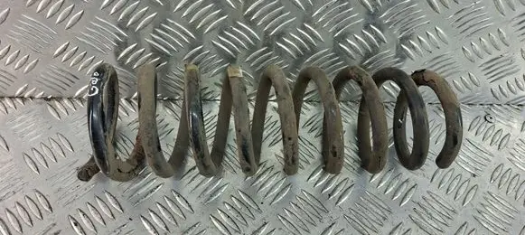 KIA Sportage Rear coil spring 