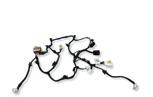 Hyundai ix 55 Tailgate/trunk wiring harness 916803J023